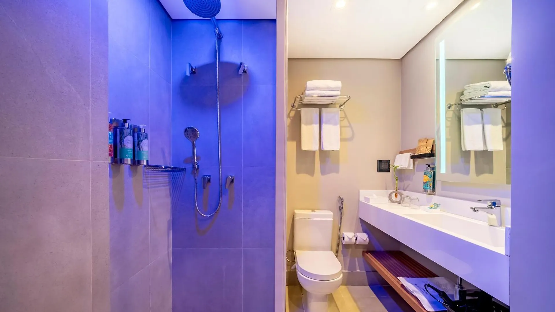 Grand Mercure Sp Itaim Bibi São Paulo